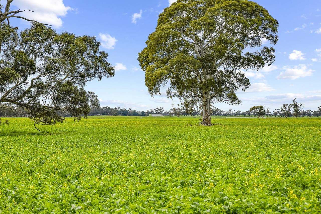 "Kevhill" 1755 Rowney Road, Mundulla West Sold by Farmbuy.com - image 27
