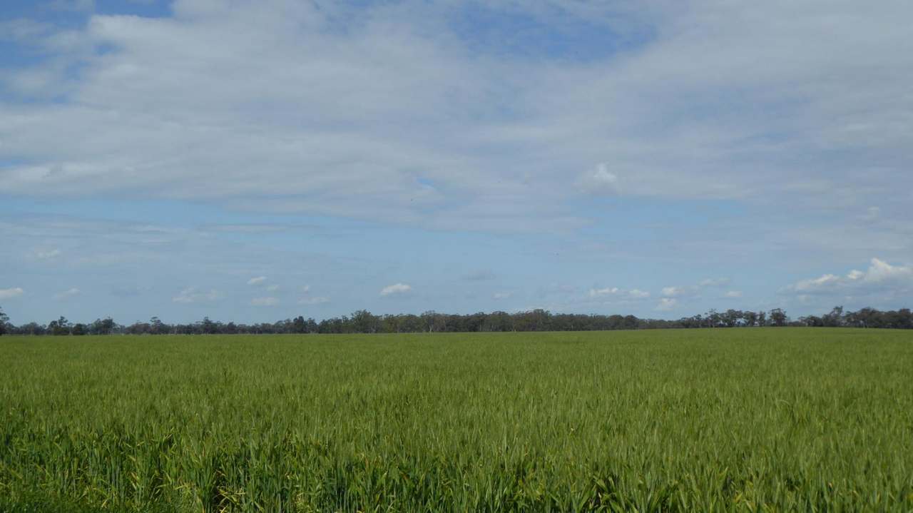 "Kevhill" 1755 Rowney Road, Mundulla West Sold by Farmbuy.com - image 17