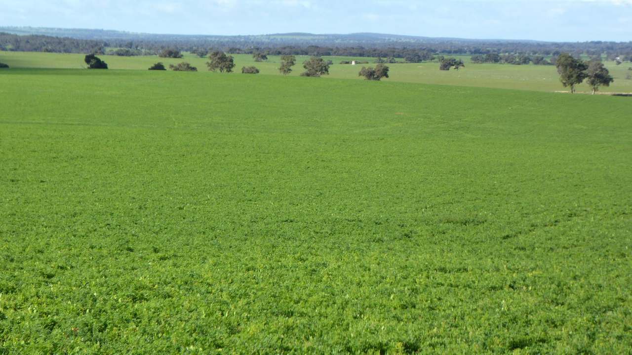 "Goonamurra"2606 Riddoch Highway,  Willalooka For Sale by Farmbuy.com - image 26