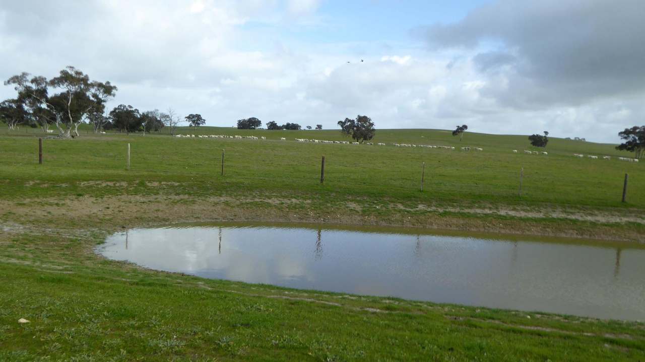 "Goonamurra"2606 Riddoch Highway,  Willalooka For Sale by Farmbuy.com - image 41
