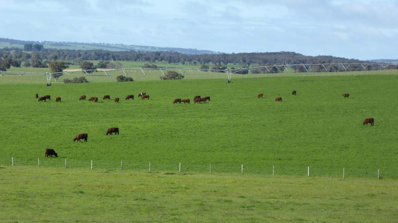 "Goonamurra"2606 Riddoch Highway,  Willalooka For Sale by Farmbuy.com - image 24