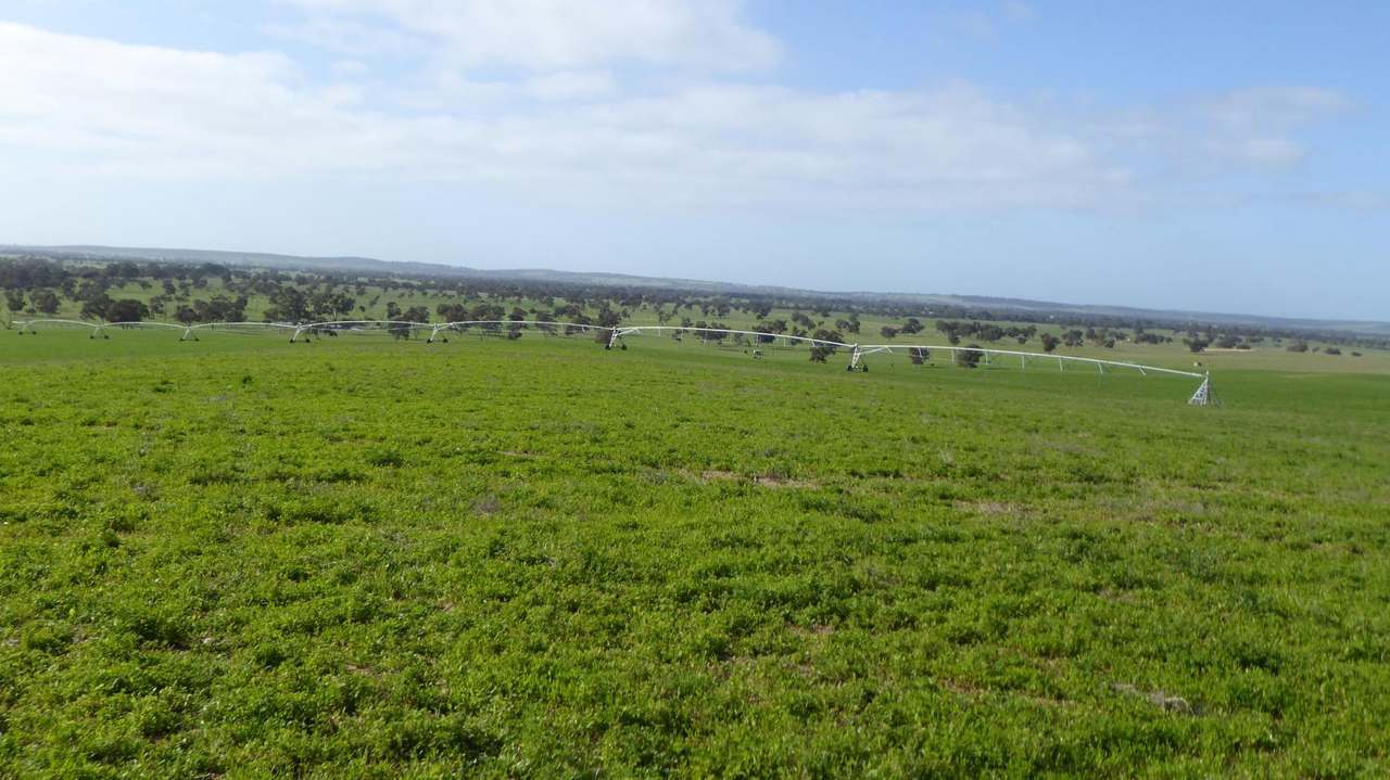 "Goonamurra"2606 Riddoch Highway,  Willalooka For Sale by Farmbuy.com - image 17