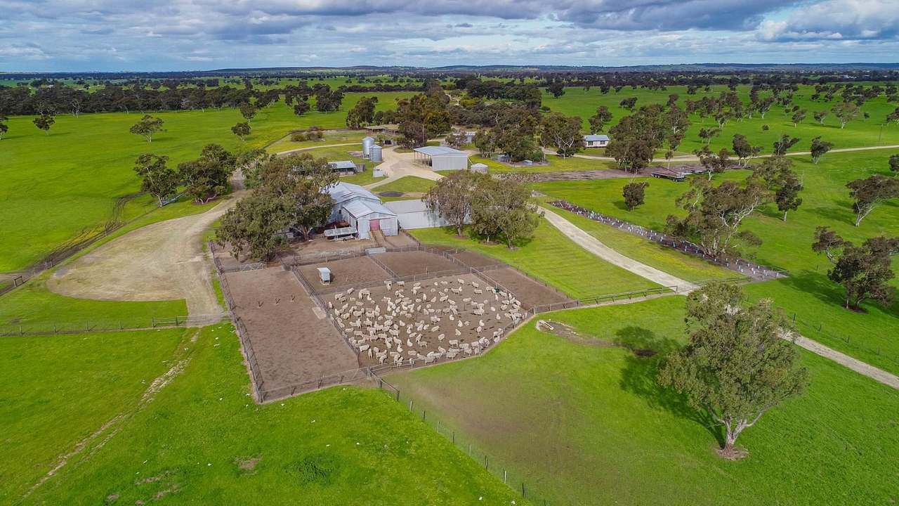 "Goonamurra"2606 Riddoch Highway,  Willalooka For Sale by Farmbuy.com - image 5