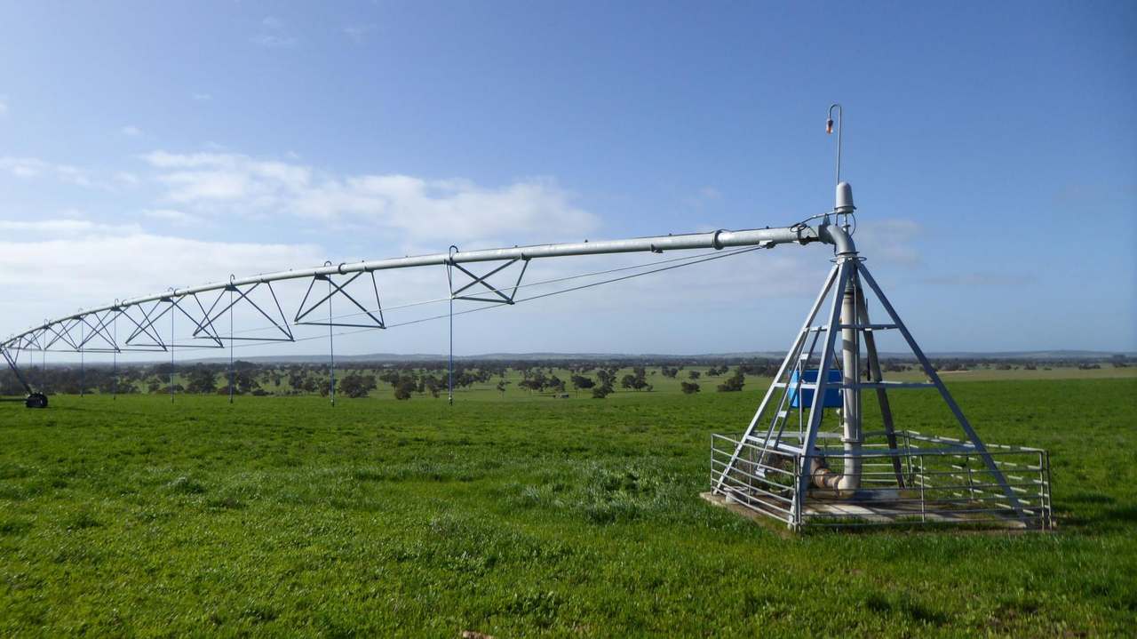 "Goonamurra"2606 Riddoch Highway,  Willalooka For Sale by Farmbuy.com - image 42