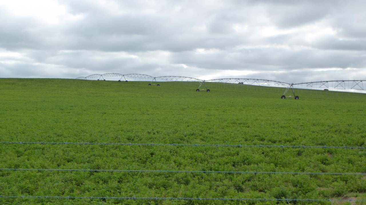 "Goonamurra"2606 Riddoch Highway,  Willalooka For Sale by Farmbuy.com - image 15