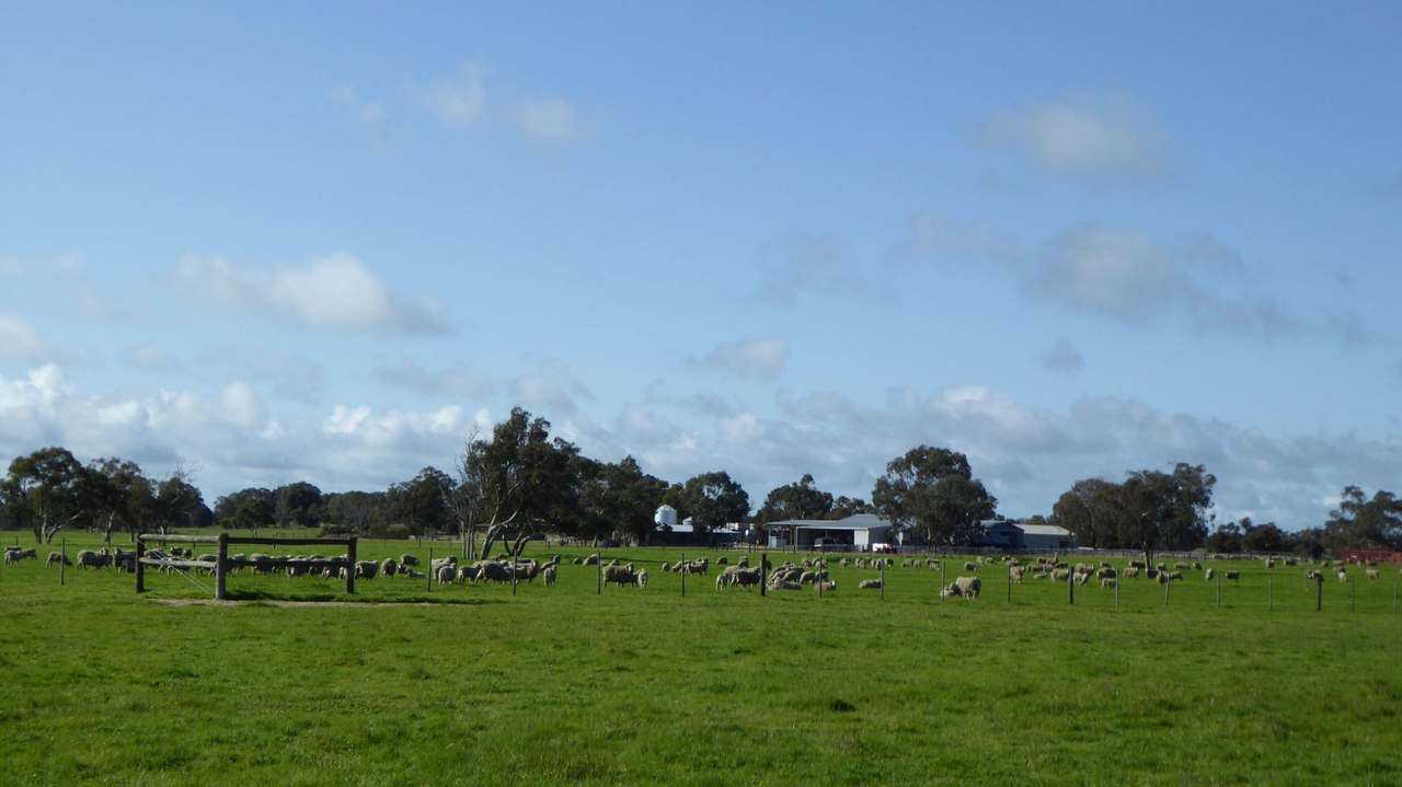 "Goonamurra"2606 Riddoch Highway,  Willalooka For Sale by Farmbuy.com - image 32