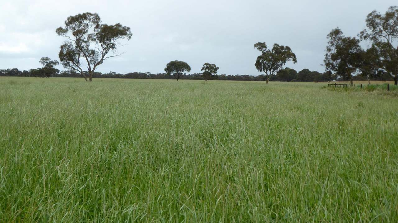 "Goonamurra"2606 Riddoch Highway,  Willalooka For Sale by Farmbuy.com - image 38