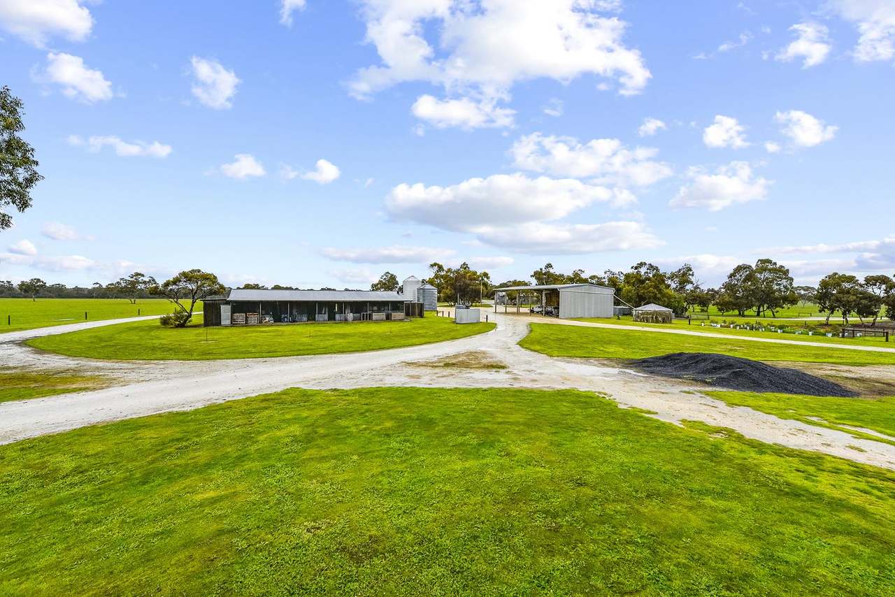"Goonamurra"2606 Riddoch Highway,  Willalooka For Sale by Farmbuy.com - image 50