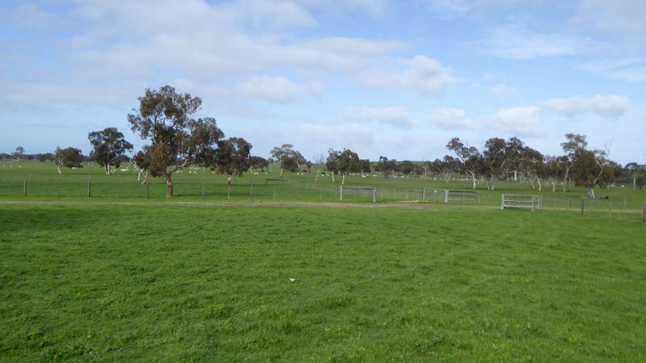 "Goonamurra"2606 Riddoch Highway,  Willalooka For Sale by Farmbuy.com - image 16