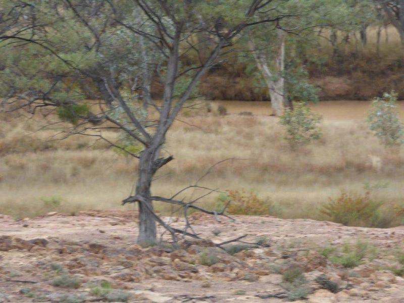 6401 Mount Alfred-Quilpie Road, Cunnamulla Sold by Farmbuy.com - image 24