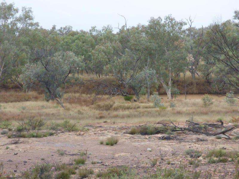 6401 Mount Alfred-Quilpie Road, Cunnamulla Sold by Farmbuy.com - image 23