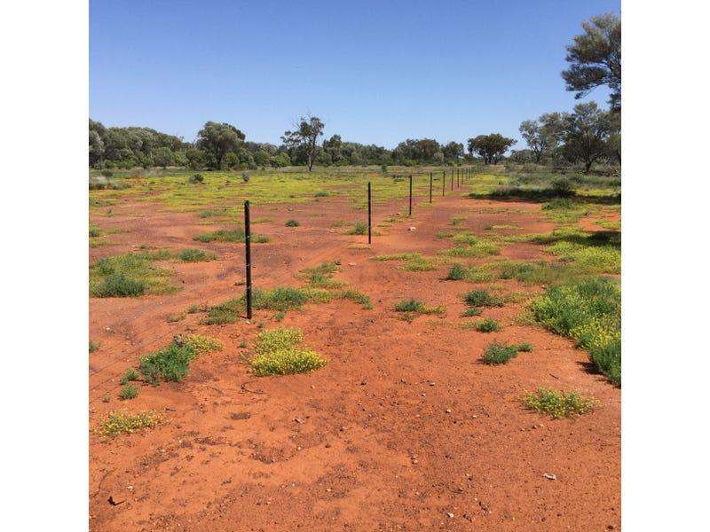 6401 Mount Alfred-Quilpie Road, Cunnamulla Sold by Farmbuy.com - image 35