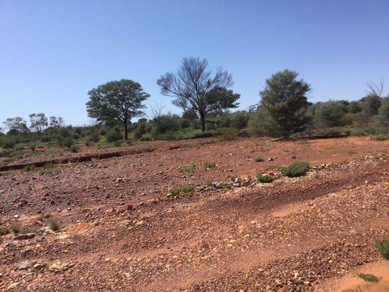 6401 Mount Alfred-Quilpie Road, Cunnamulla Sold by Farmbuy.com - image 34