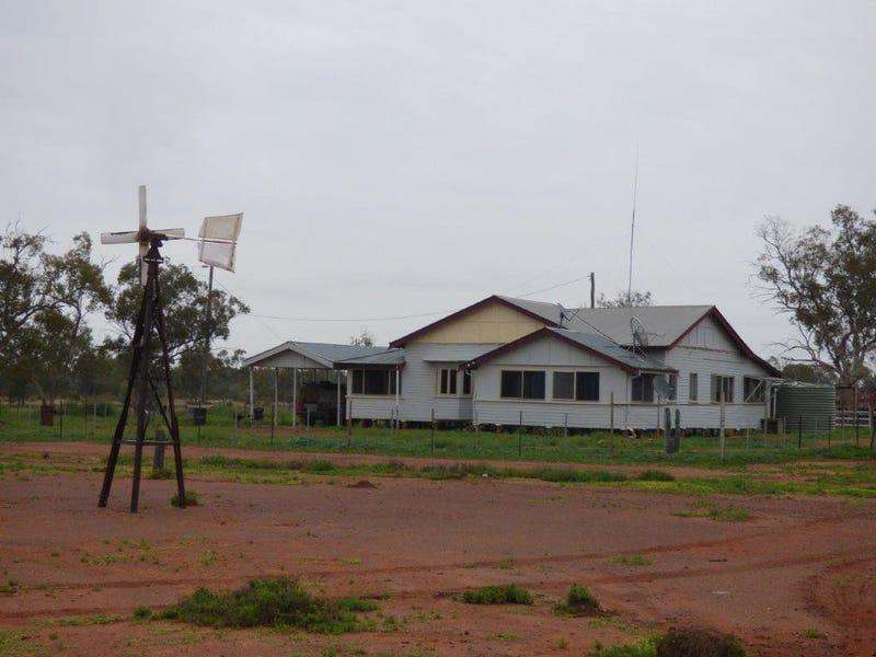 6401 Mount Alfred-Quilpie Road, Cunnamulla Sold by Farmbuy.com - image 7