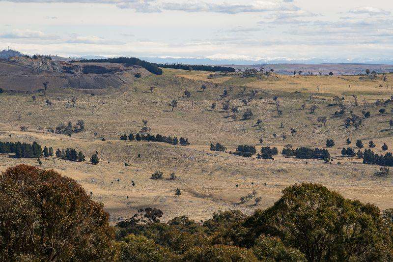 2074 Tom Groggin Road, Nimmitabel  Sold by Farmbuy.com - image 2