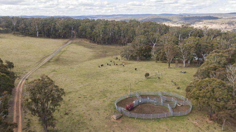 2074 Tom Groggin Road, Nimmitabel  Sold by Farmbuy.com - image 4