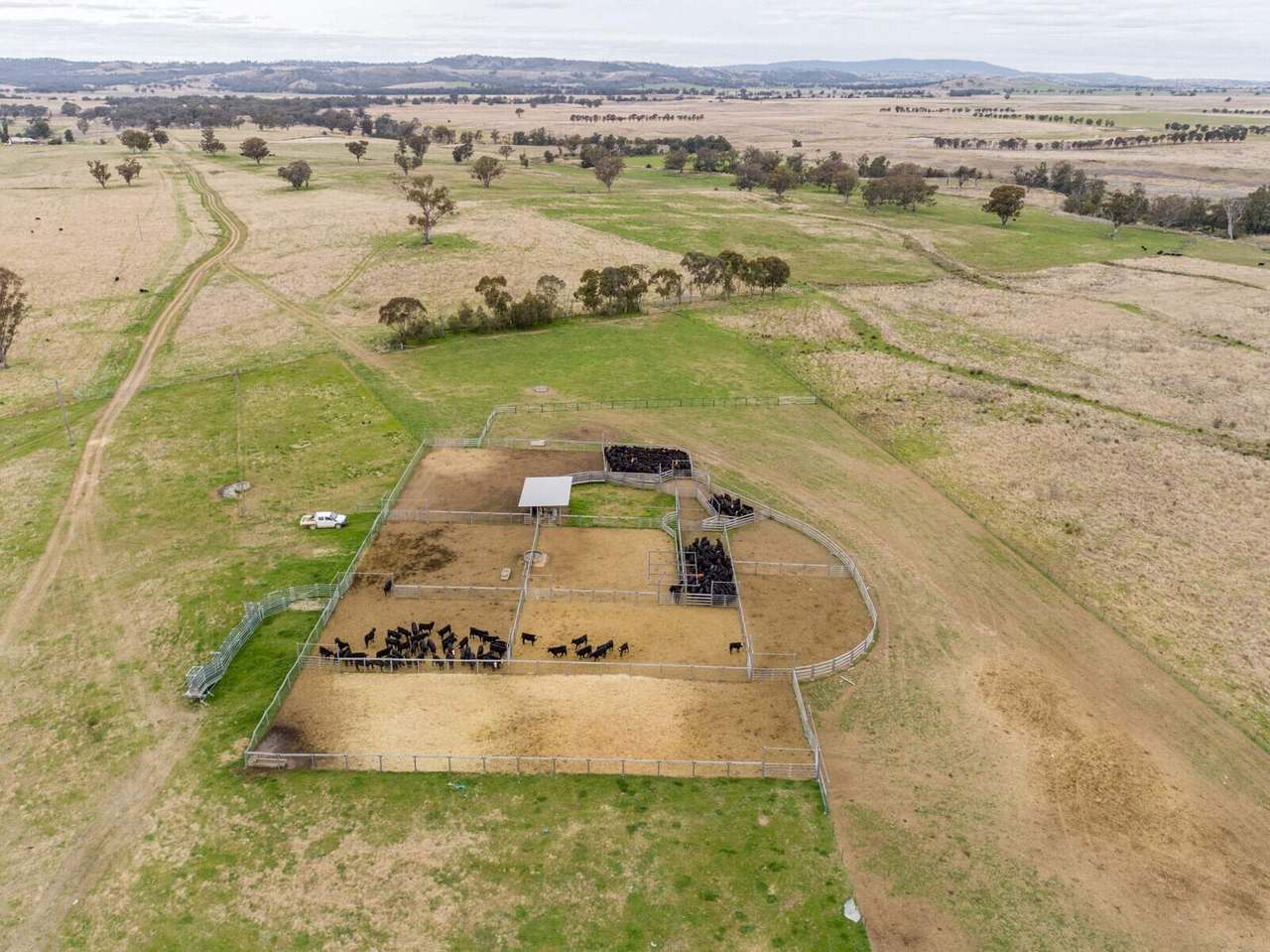 1520 Trevallyn Road, Barraba Sold by Farmbuy.com - image 12