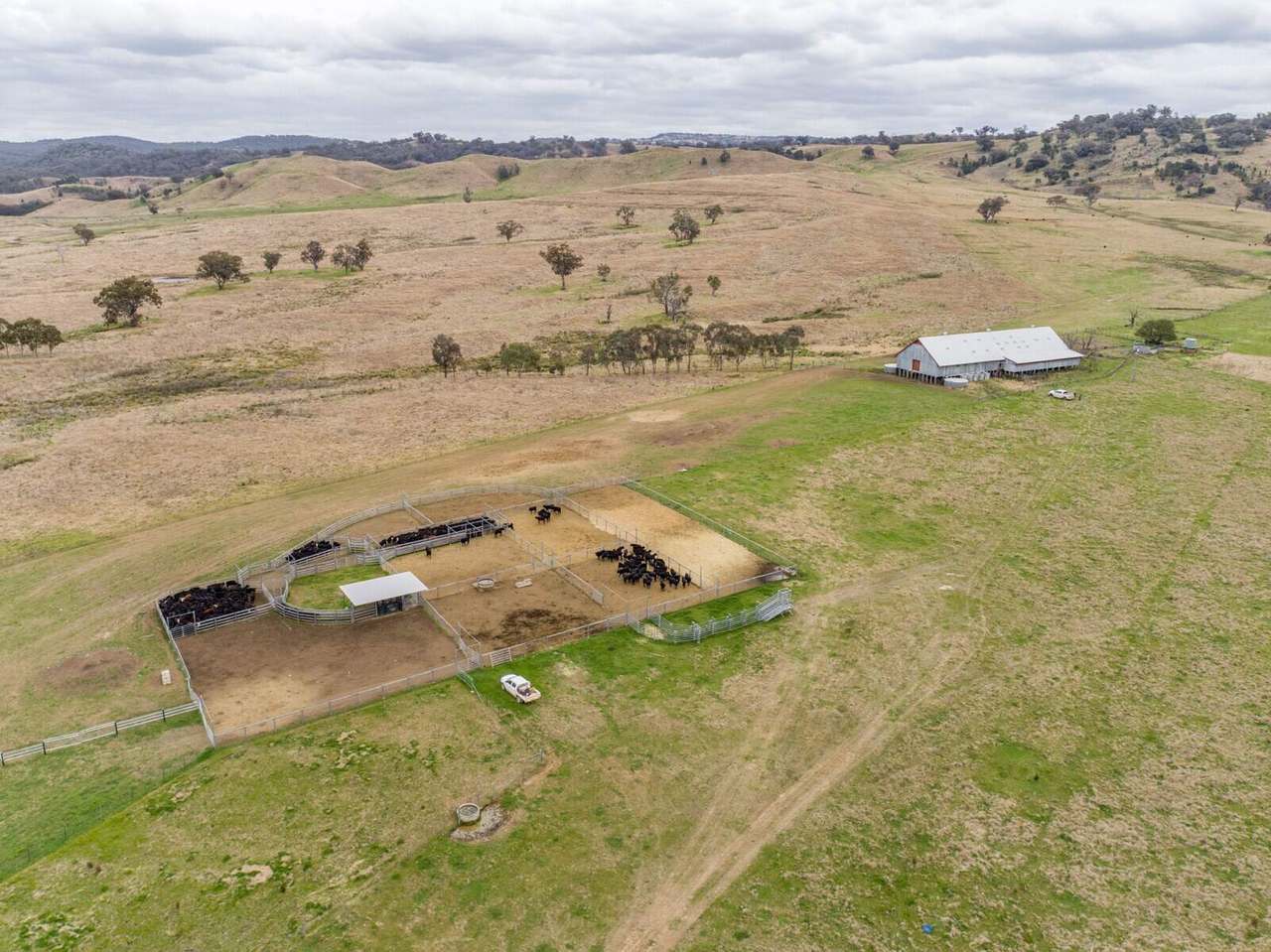1520 Trevallyn Road, Barraba Sold by Farmbuy.com - image 11