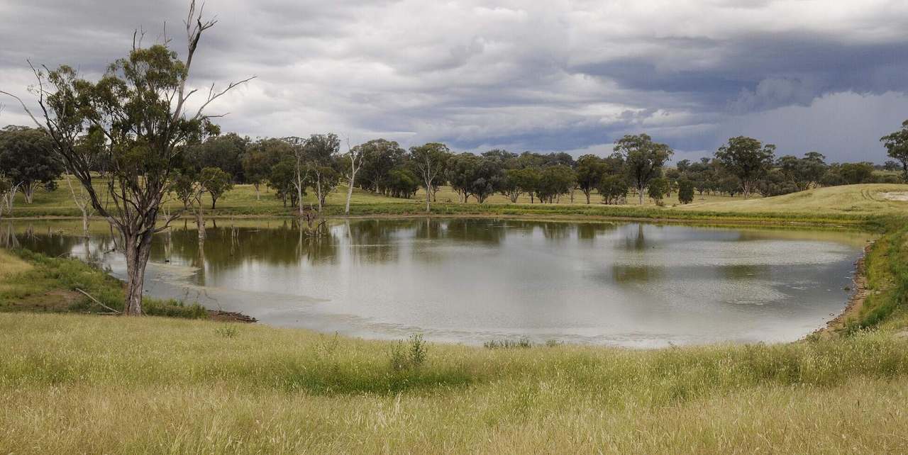 1520 Trevallyn Road, Barraba Sold by Farmbuy.com - image 6