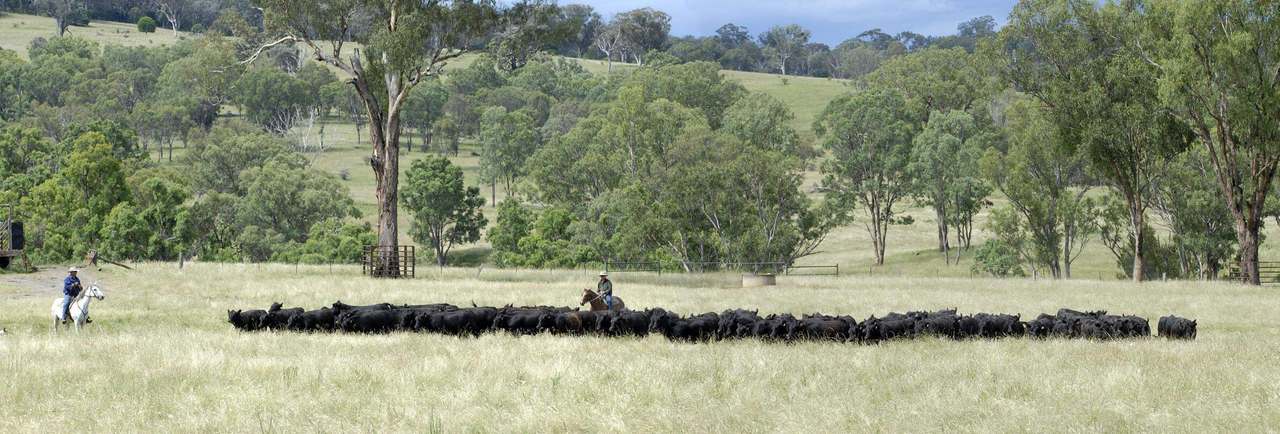 1520 Trevallyn Road, Barraba Sold by Farmbuy.com - image 2