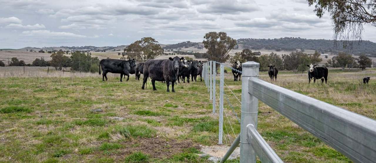 1520 Trevallyn Road, Barraba Sold by Farmbuy.com - image 10