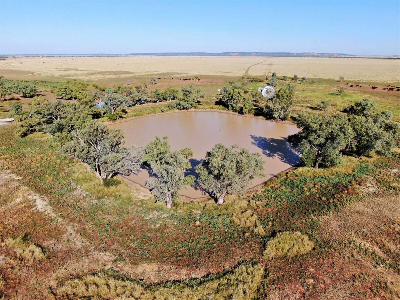 721 Baratria Road , Longreach Sold by Farmbuy.com - image 38