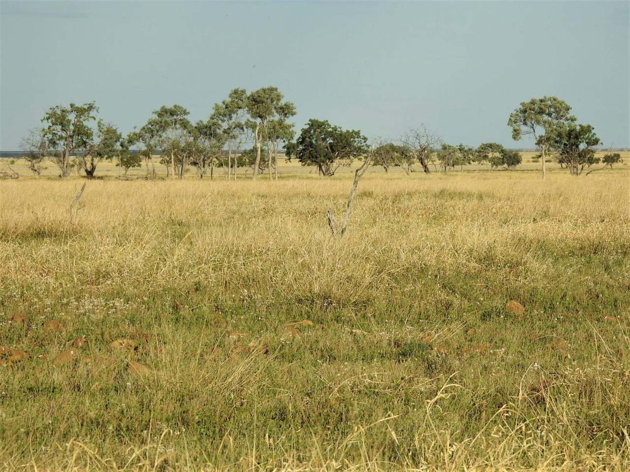 721 Baratria Road , Longreach Sold by Farmbuy.com - image 6