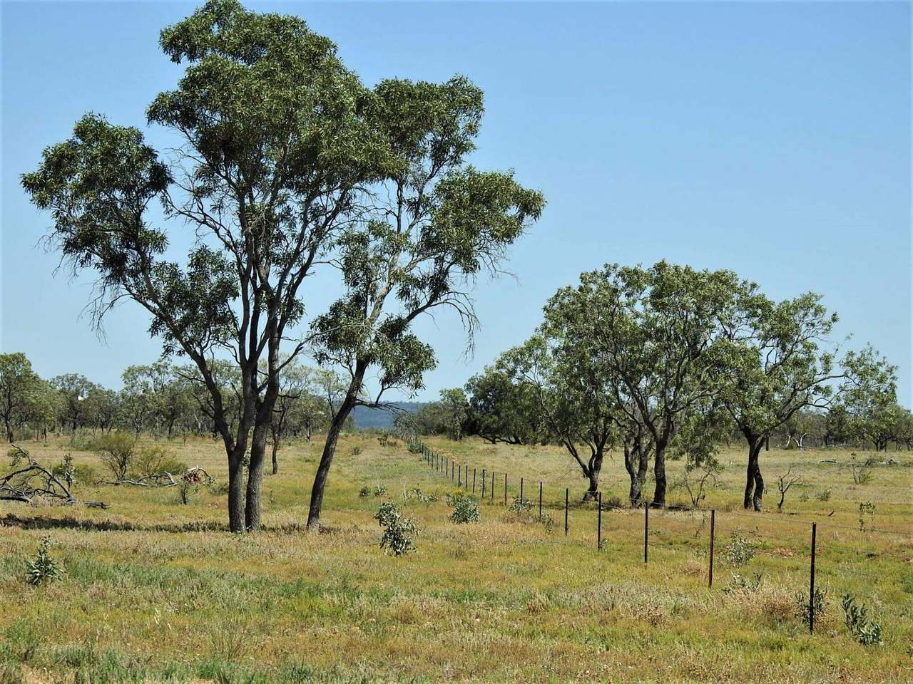 721 Baratria Road , Longreach Sold by Farmbuy.com - image 28