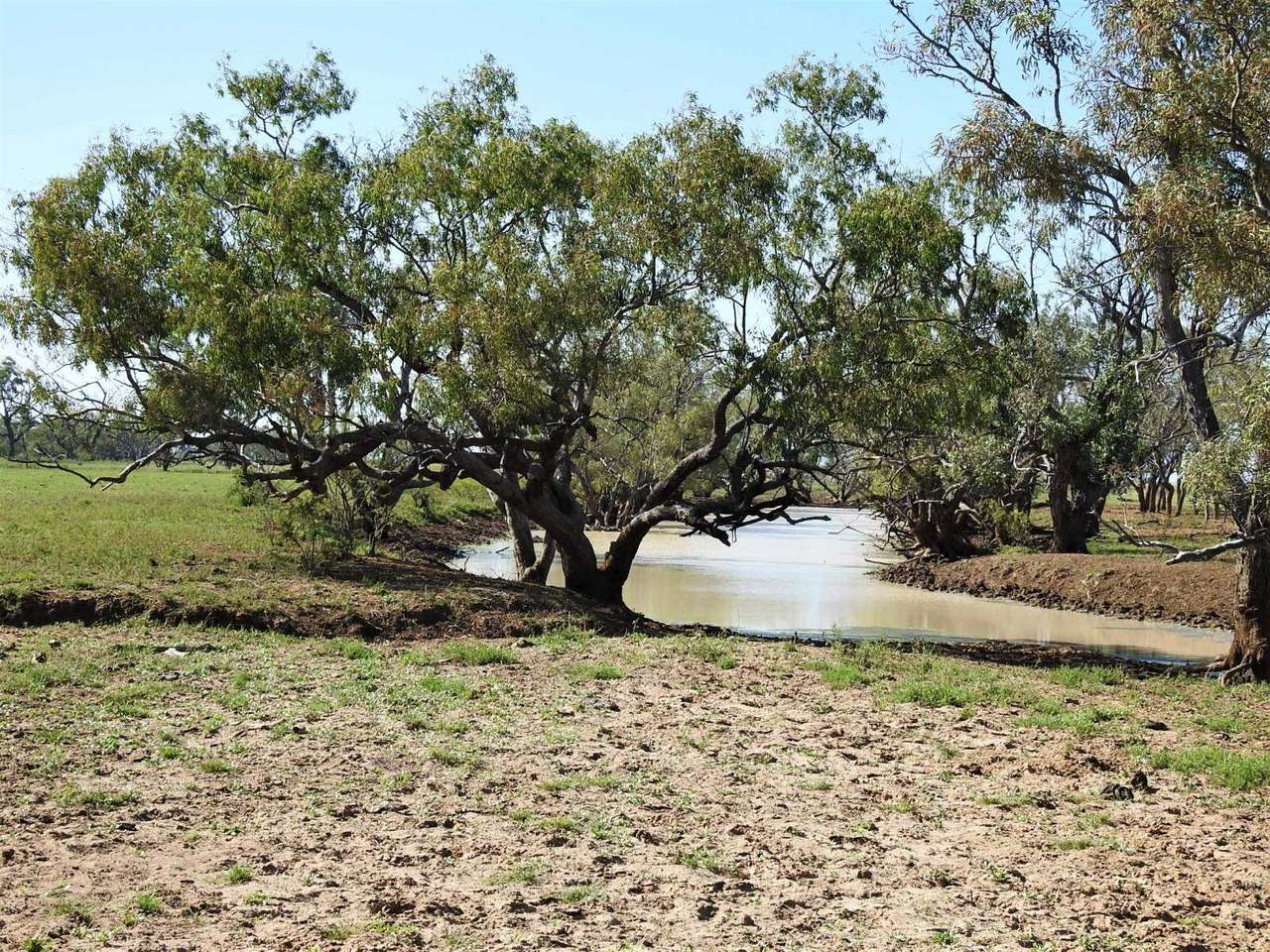 721 Baratria Road , Longreach Sold by Farmbuy.com - image 24