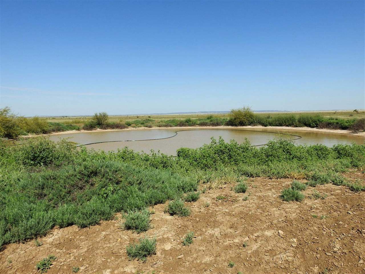 721 Baratria Road , Longreach Sold by Farmbuy.com - image 22