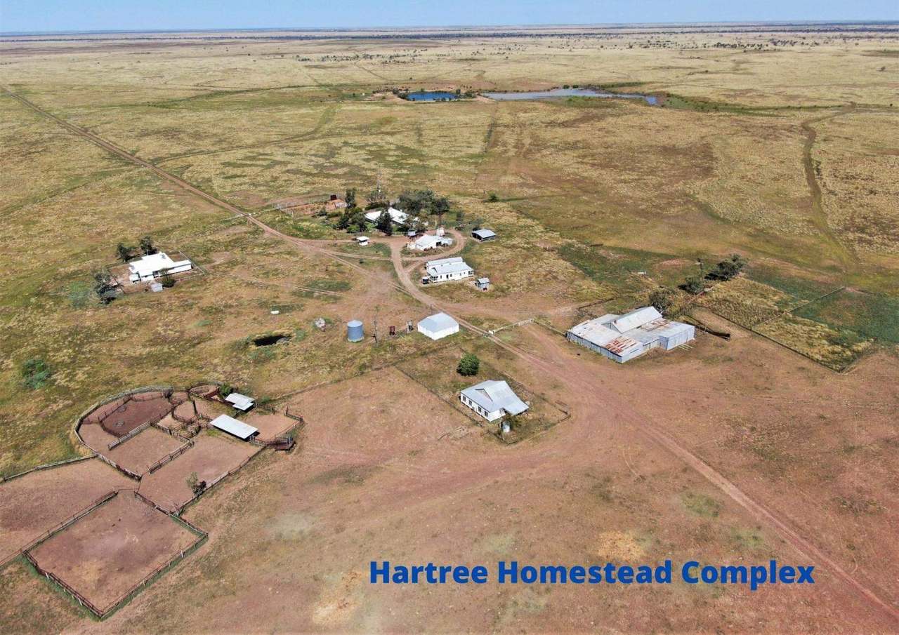 721 Baratria Road , Longreach Sold by Farmbuy.com - image 36
