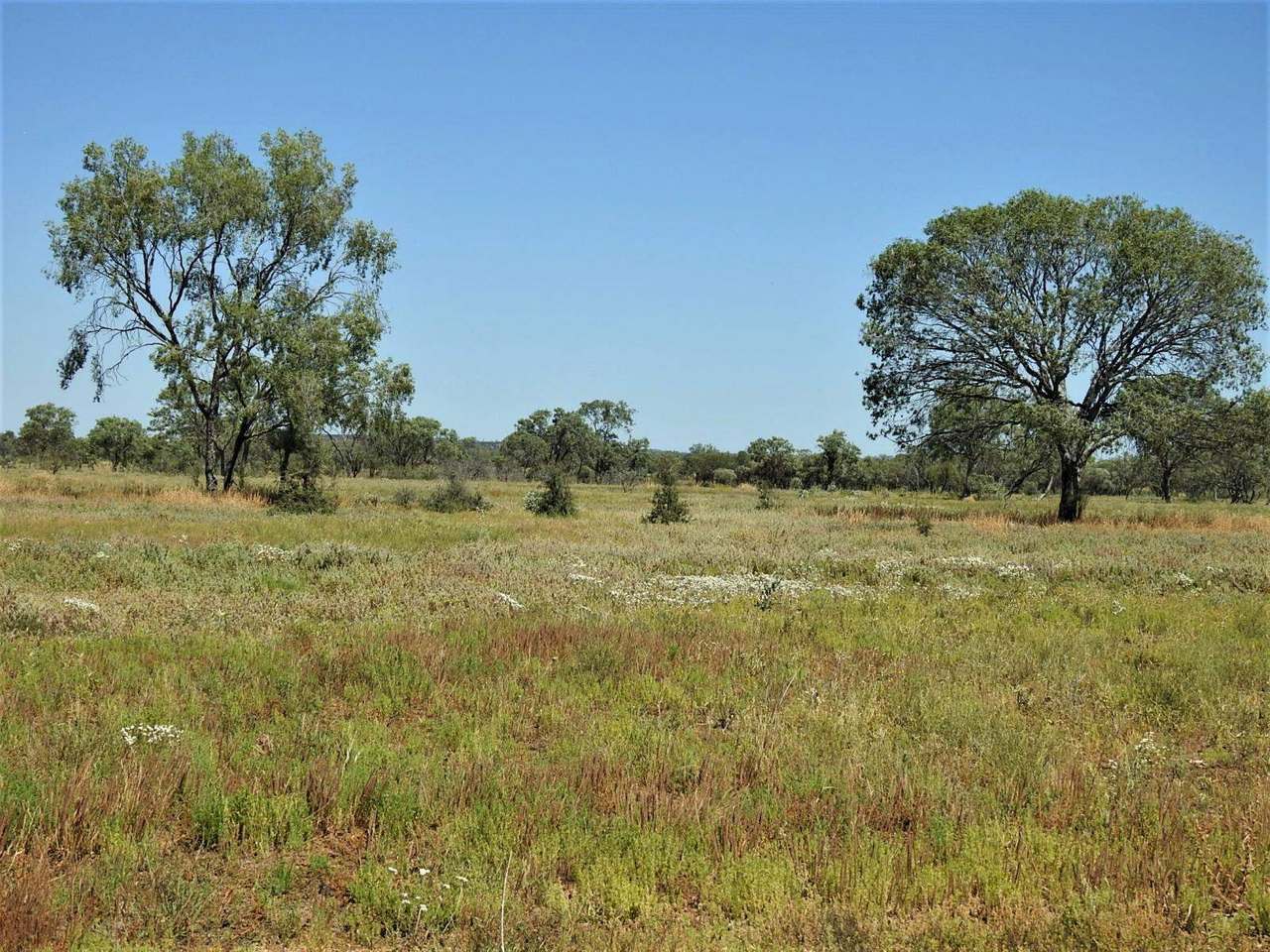 721 Baratria Road , Longreach Sold by Farmbuy.com - image 27