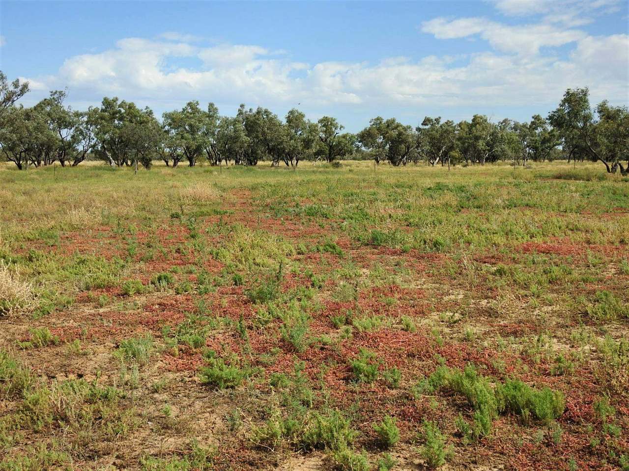 721 Baratria Road , Longreach Sold by Farmbuy.com - image 34