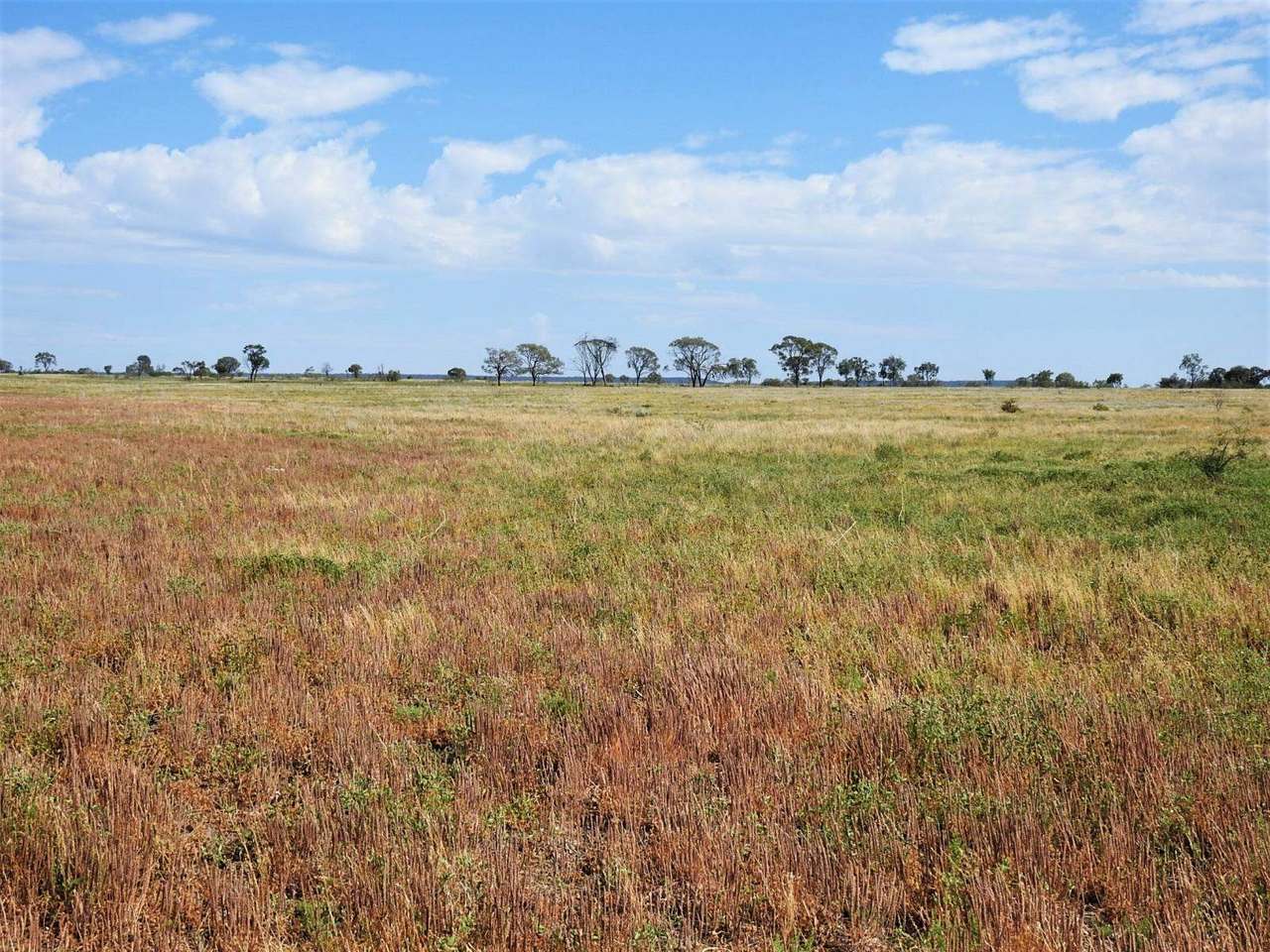 721 Baratria Road , Longreach Sold by Farmbuy.com - image 33