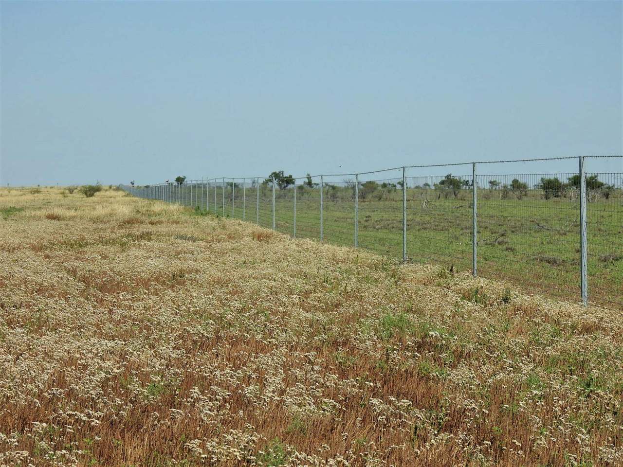 721 Baratria Road , Longreach Sold by Farmbuy.com - image 16