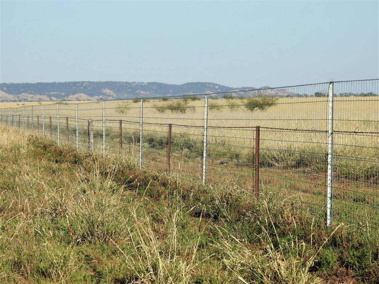 721 Baratria Road , Longreach Sold by Farmbuy.com - image 26