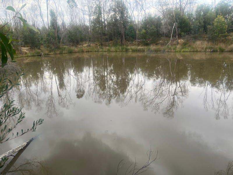Lot 22 Keeshans Road, Tara Sold by Farmbuy.com - image 2
