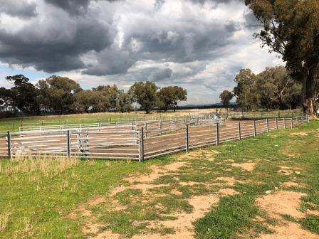 4150 Nanami Lane, Canowindra Auction by Farmbuy.com - image 8