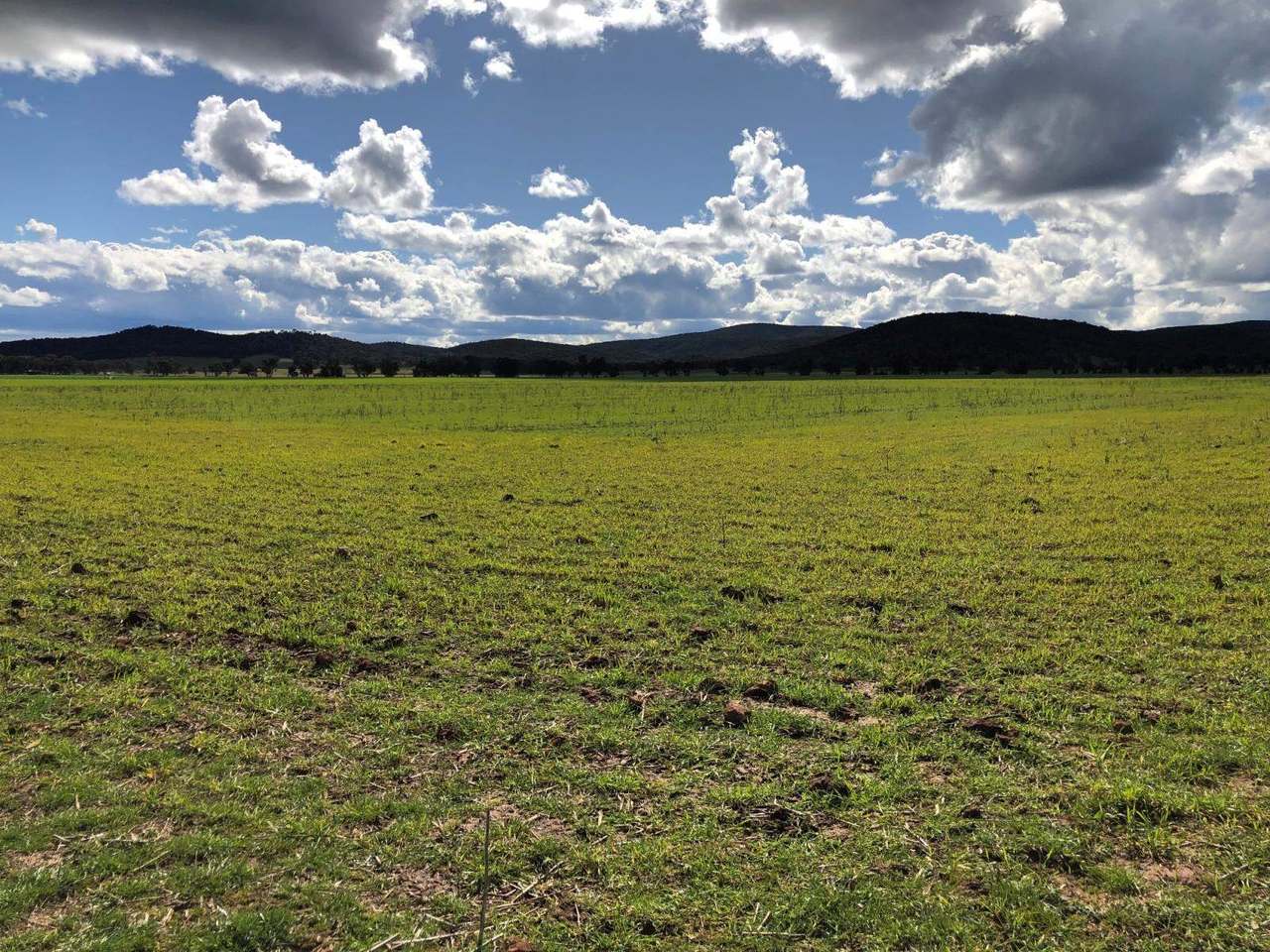 4150 Nanami Lane, Canowindra Auction by Farmbuy.com - image 6