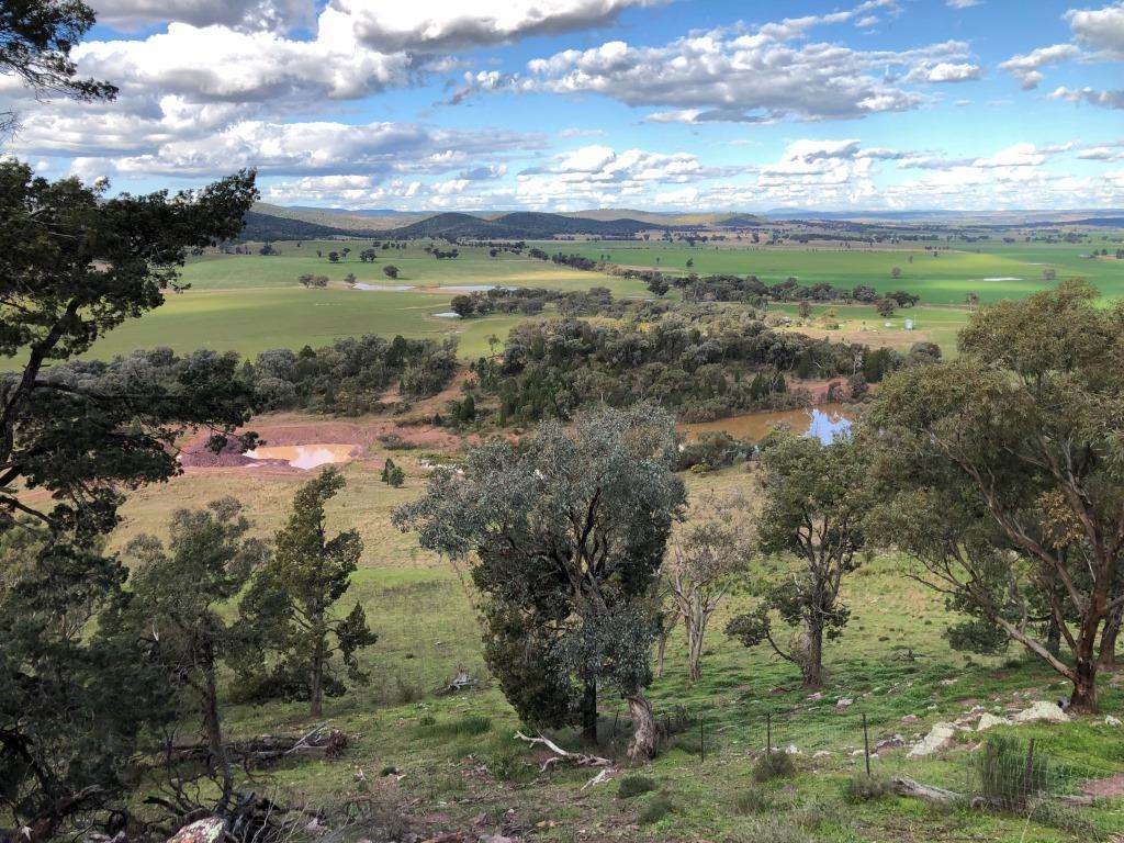 4150 Nanami Lane, Canowindra Auction by Farmbuy.com - image 3