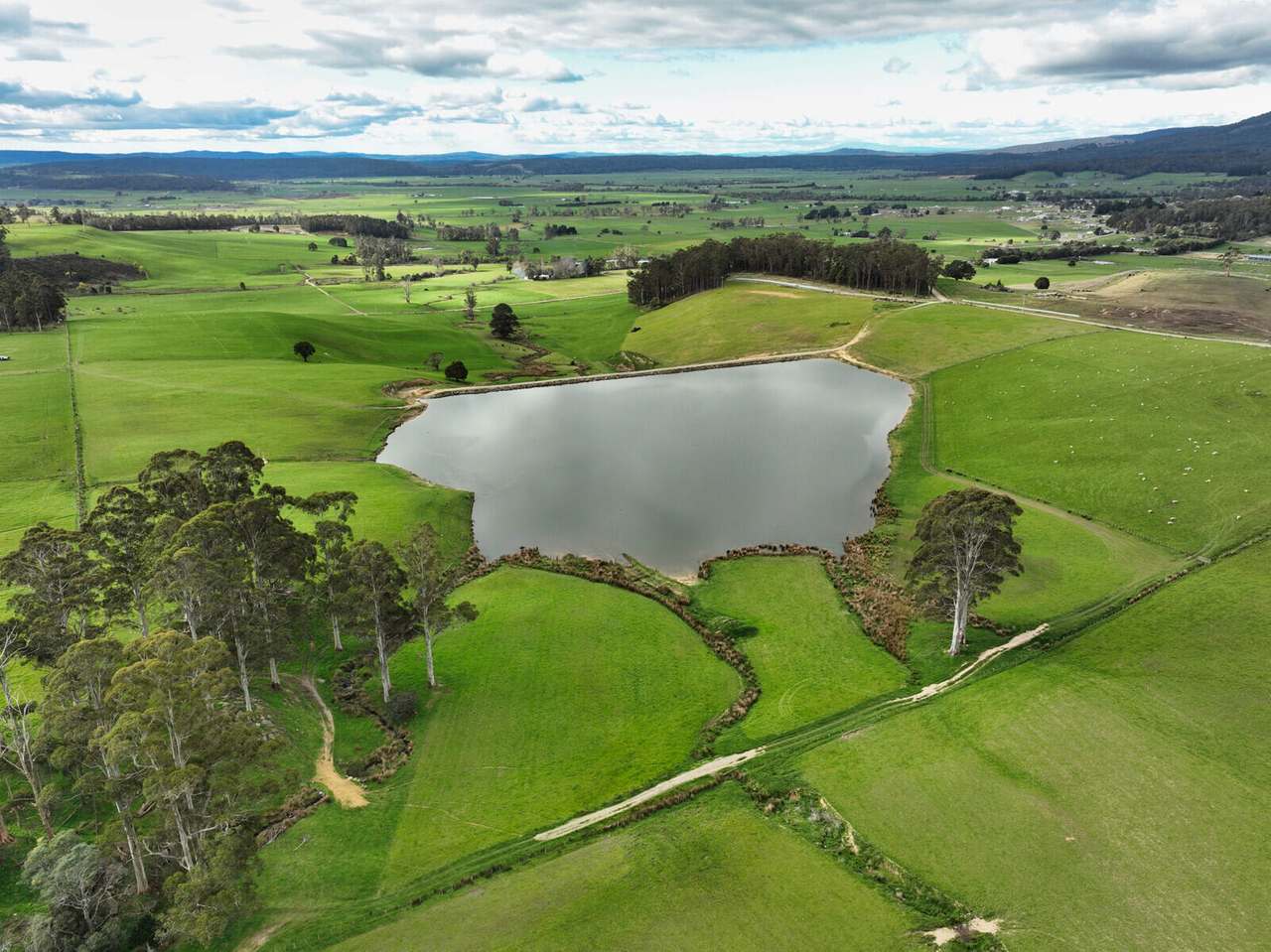 208 Barbers Road, Meander Sold by Farmbuy.com - image 3