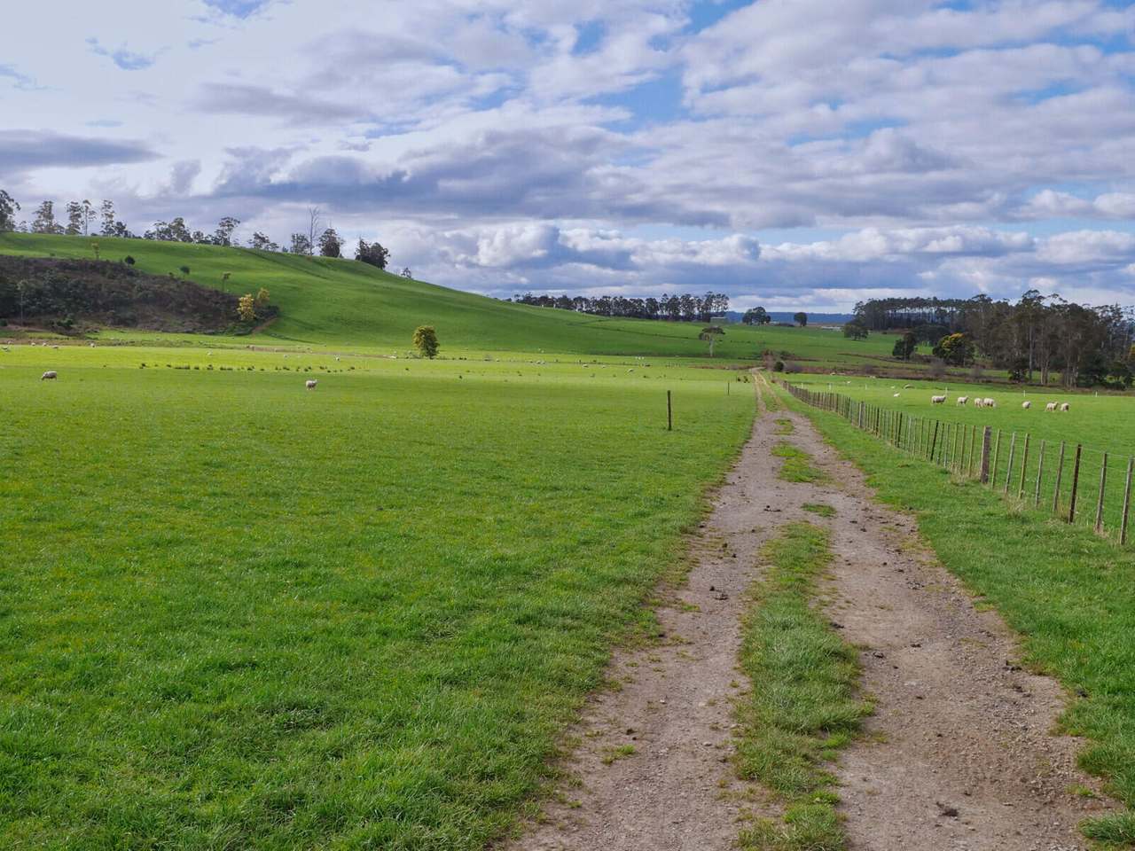 208 Barbers Road, Meander Sold by Farmbuy.com - image 10