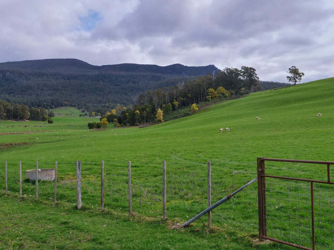 208 Barbers Road, Meander Sold by Farmbuy.com - image 7