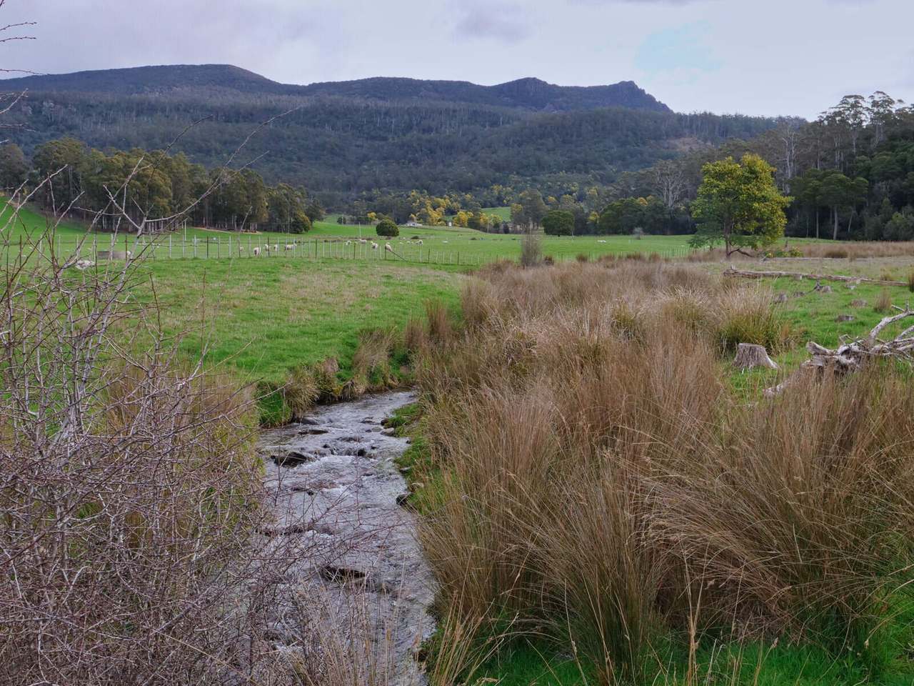 208 Barbers Road, Meander Sold by Farmbuy.com - image 12