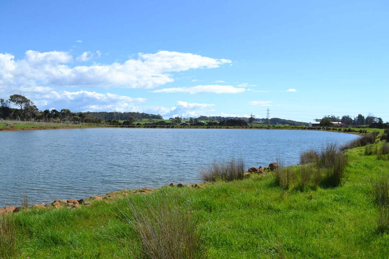 384 Port Sorell Road, Wesley Vale Sold by Farmbuy.com - image 9