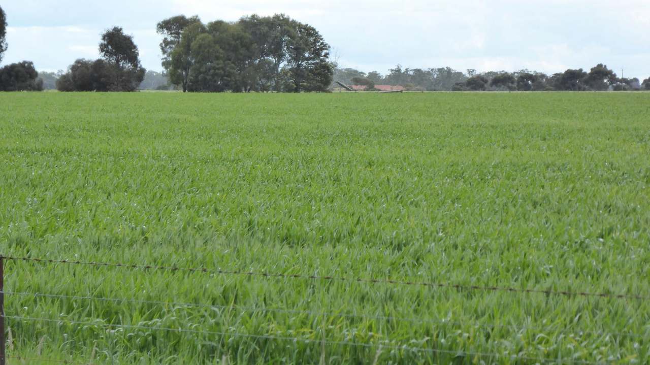 Sec 152 Rowney Road , "Mawson" Bordertown Sold by Farmbuy.com - image 17