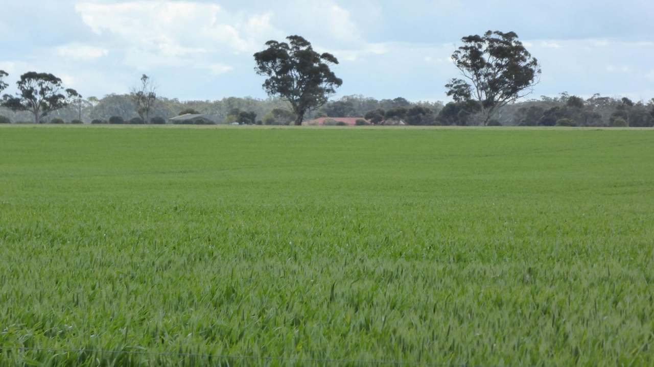 Sec 152 Rowney Road , "Mawson" Bordertown Sold by Farmbuy.com - image 16