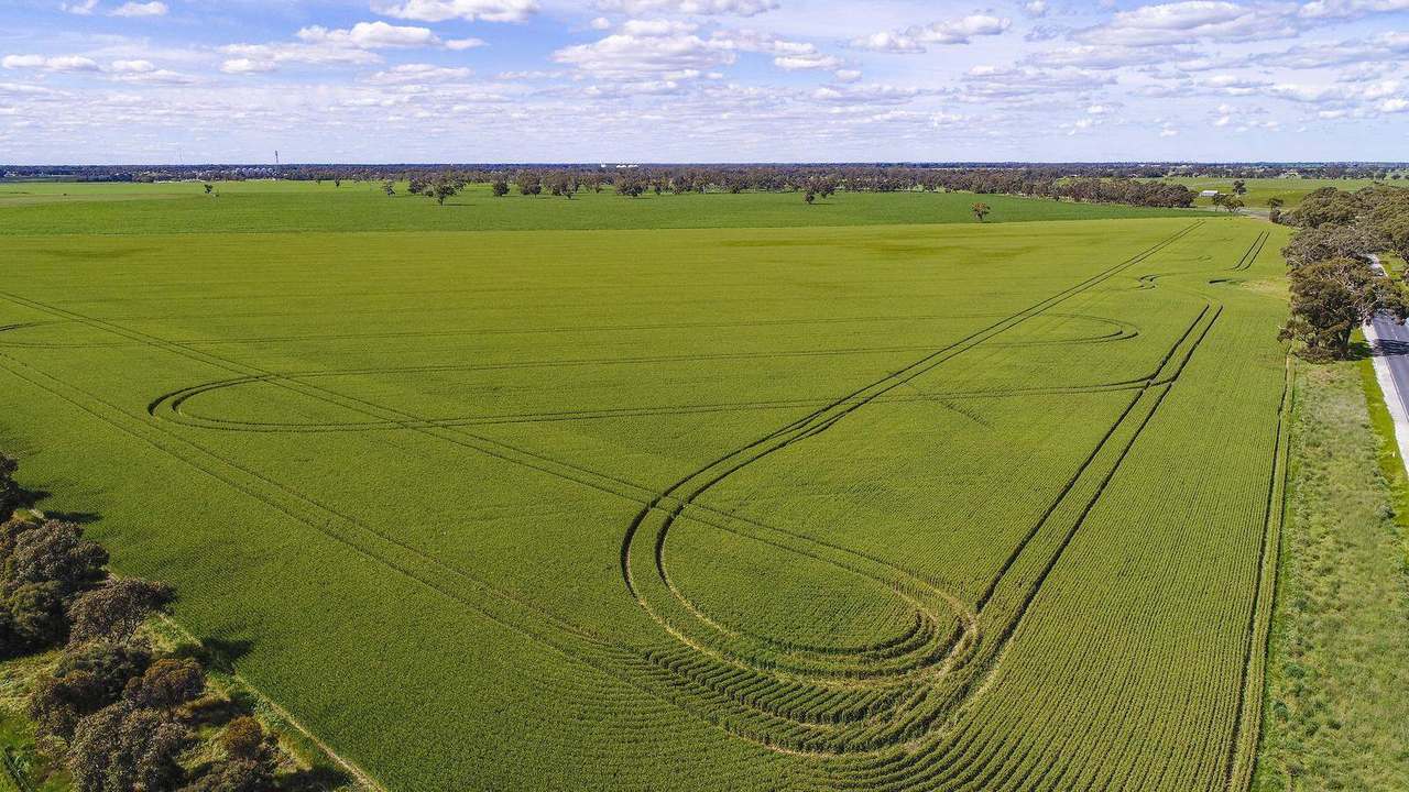 Sec 152 Rowney Road , "Mawson" Bordertown Sold by Farmbuy.com - image 14