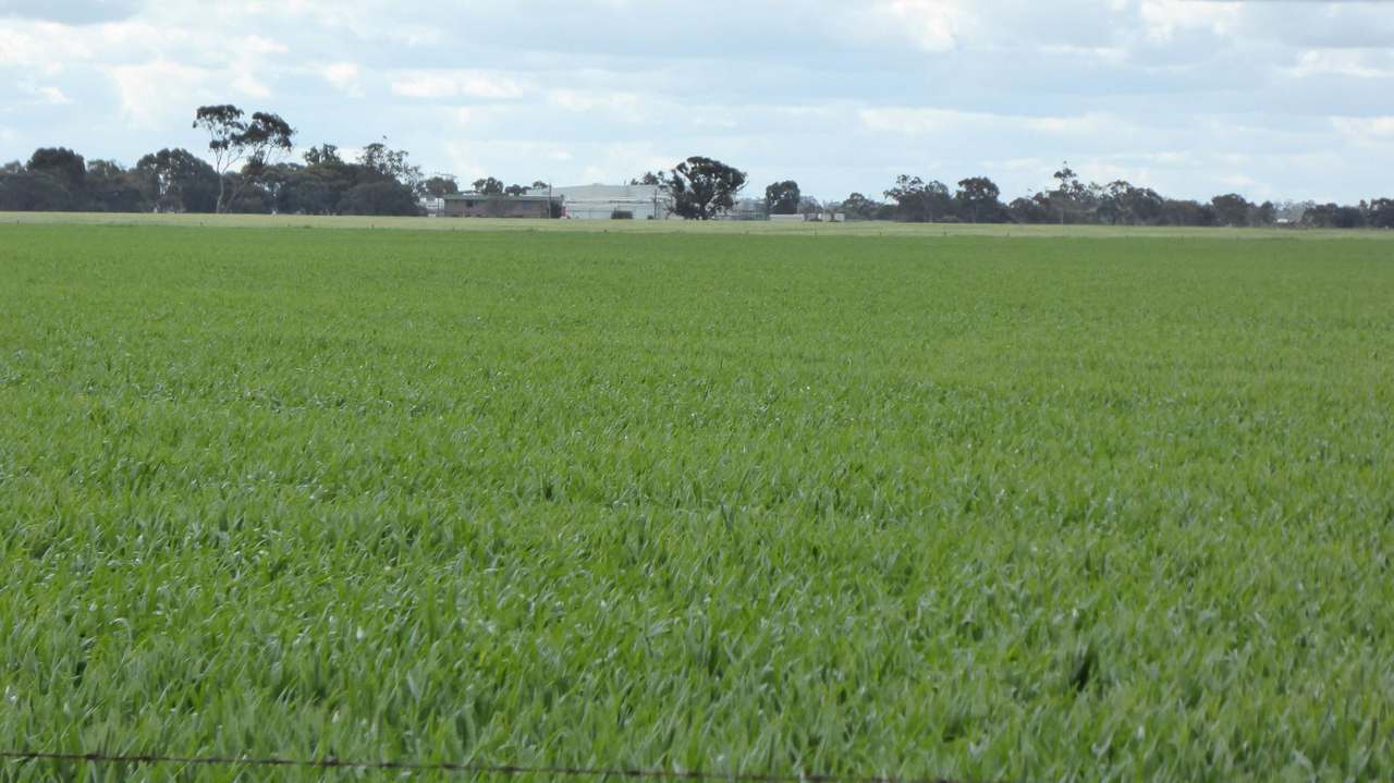 Sec 152 Rowney Road , "Mawson" Bordertown Sold by Farmbuy.com - image 18