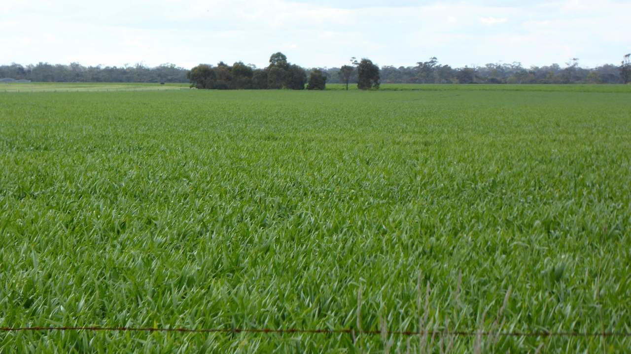 Sec 152 Rowney Road , "Mawson" Bordertown Sold by Farmbuy.com - image 19